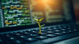 seo fuels organic growth