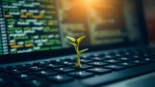 seo fuels organic growth