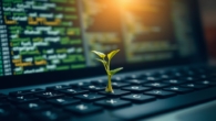 seo fuels organic growth